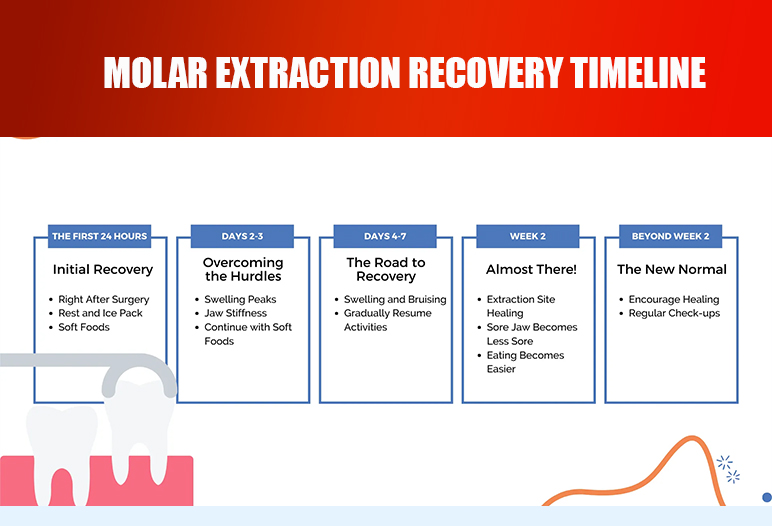 how long to recover from molar extraction